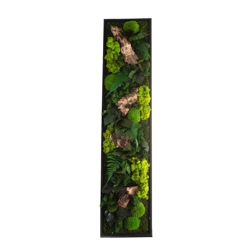 Stab canope panoramic xl - noir 40x140