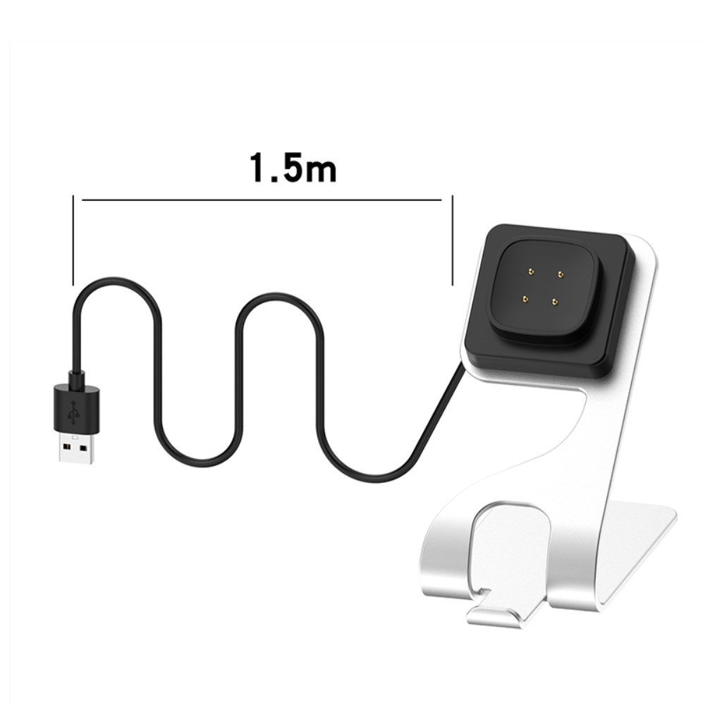 2in1 Fitbit Versa 3 / Fitbit Sense Dockingstation Halterung mit USB Ladegerät - Silber