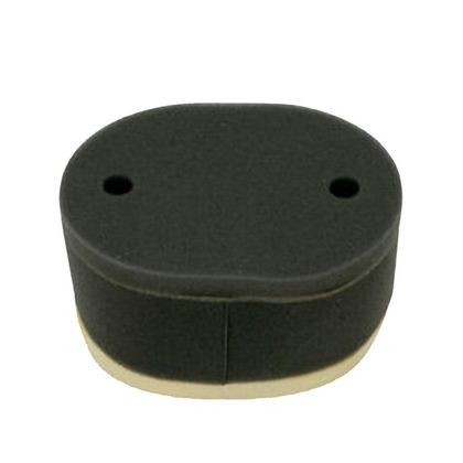 Filtre à air Emgo Type Adaptable