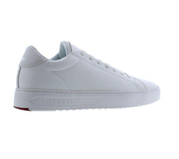 Loyalti Loyalti Patriot Reptile Trainers