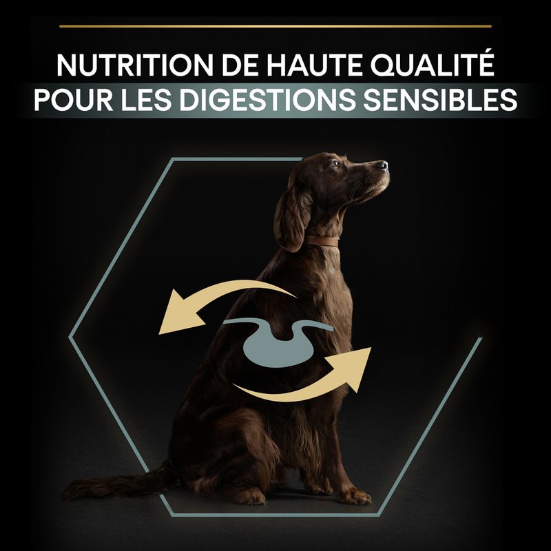 PURINA PRO PLAN Large Adult Athletic Sensitive Digestion agneau, riz