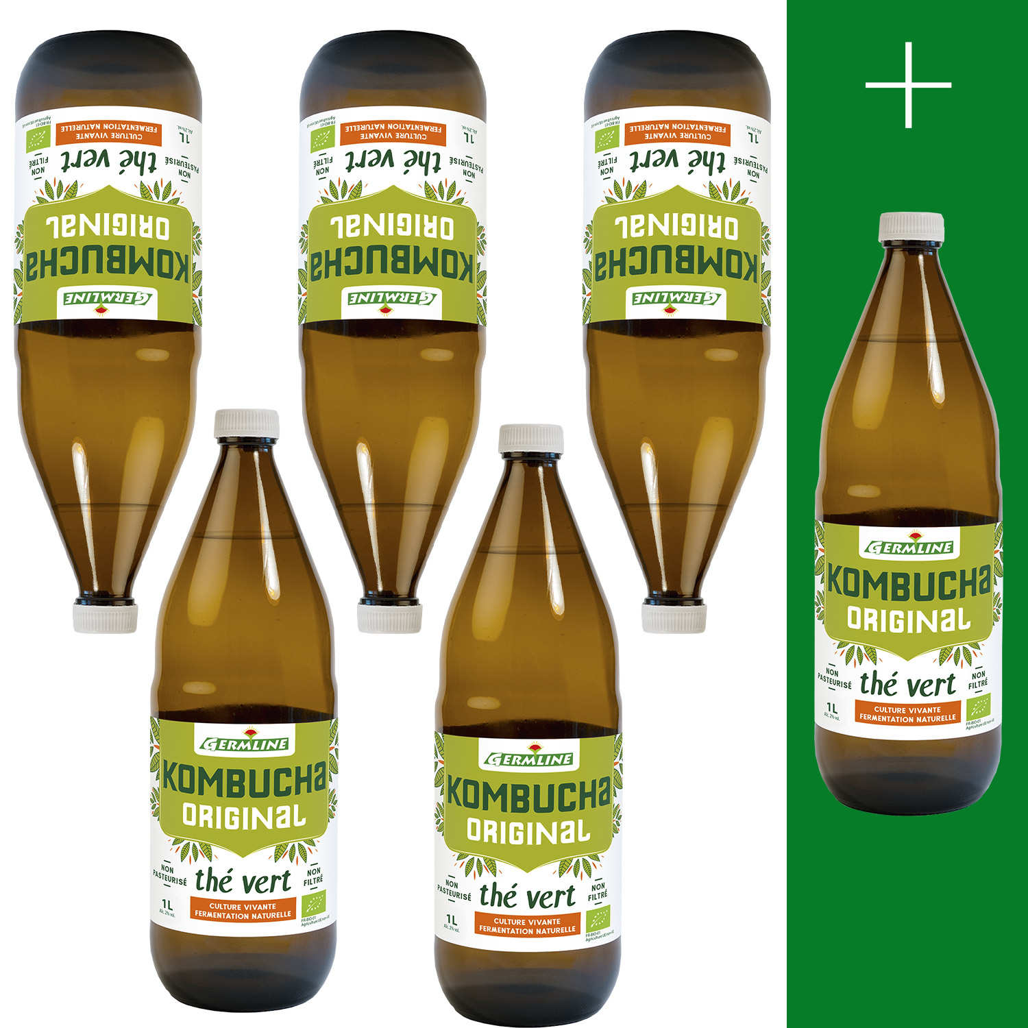 Kombucha, boisson lactofermentée bio - 5 + 1 offert