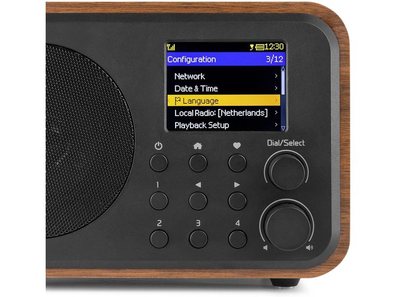 Audizio DAB  Radio Vicenza Braun DAB  Radio mit Akku, Internet Radio und Bluetooth