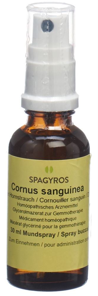 Spagyros Cornus sanguinea Glyc Maz 1 D Spr 30 ml