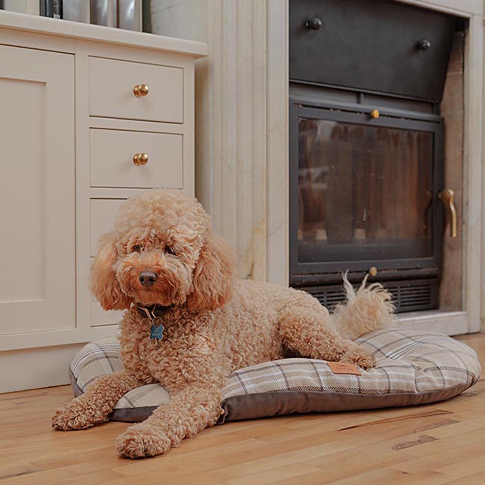 Coussin rembourré pour chiens et chats scott 78/8, double-face, écossais, velours doux, lavable, marron