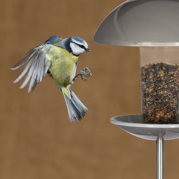 Fuglemater på pinne