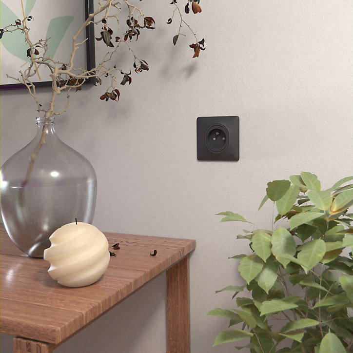 Plaque de finition simple Schneider Electric Ovalis anthracite