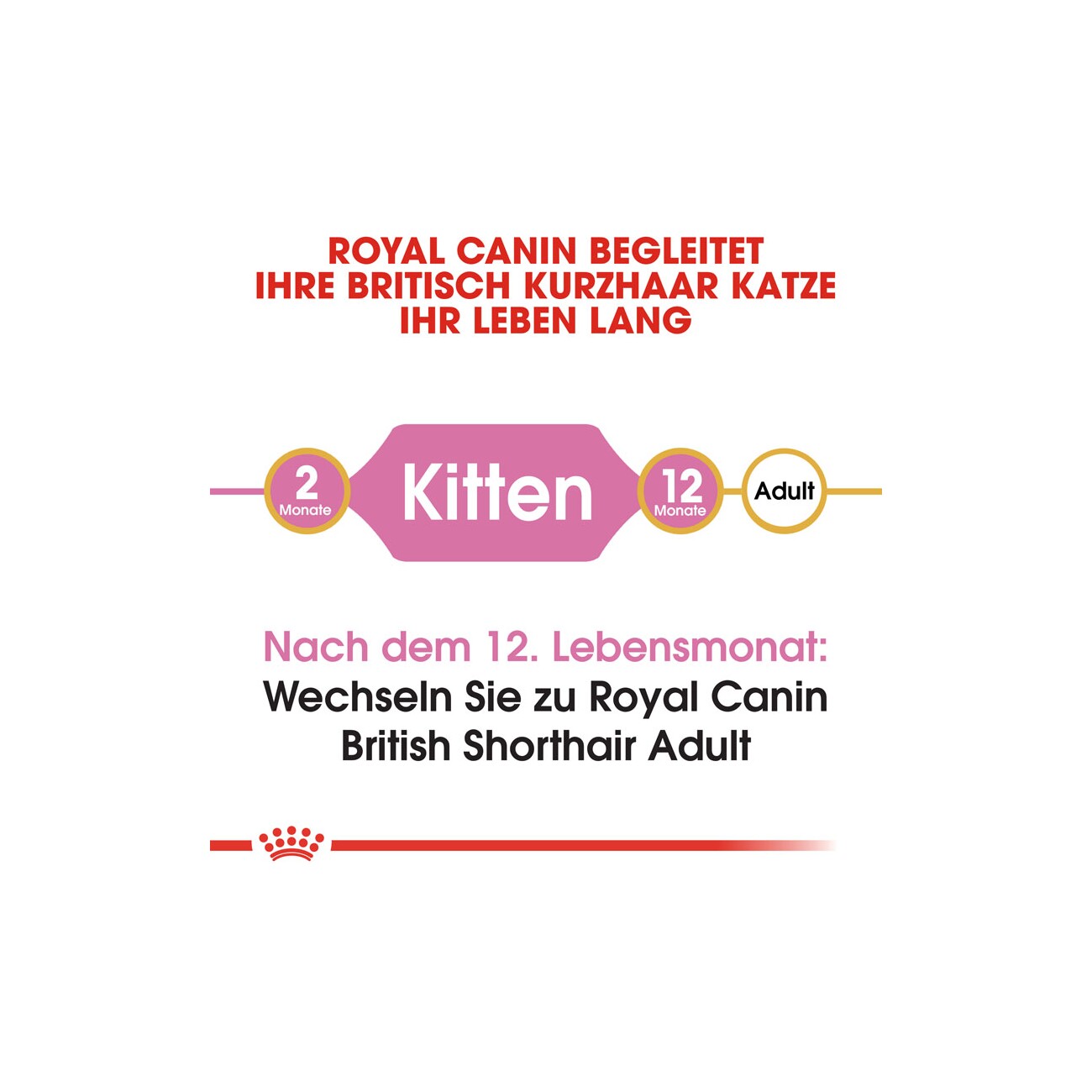 ROYAL CANIN British Shorthair Kitten 400 g