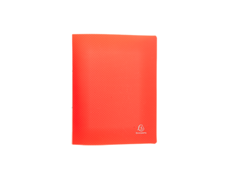 Ringbuch