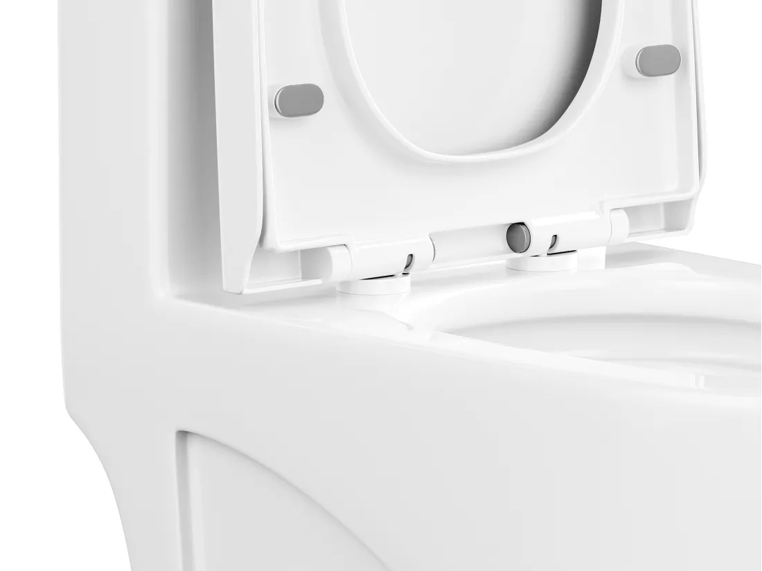 WC à poser blanc brillant en céramique - Evacuation verticale - NAGILAM