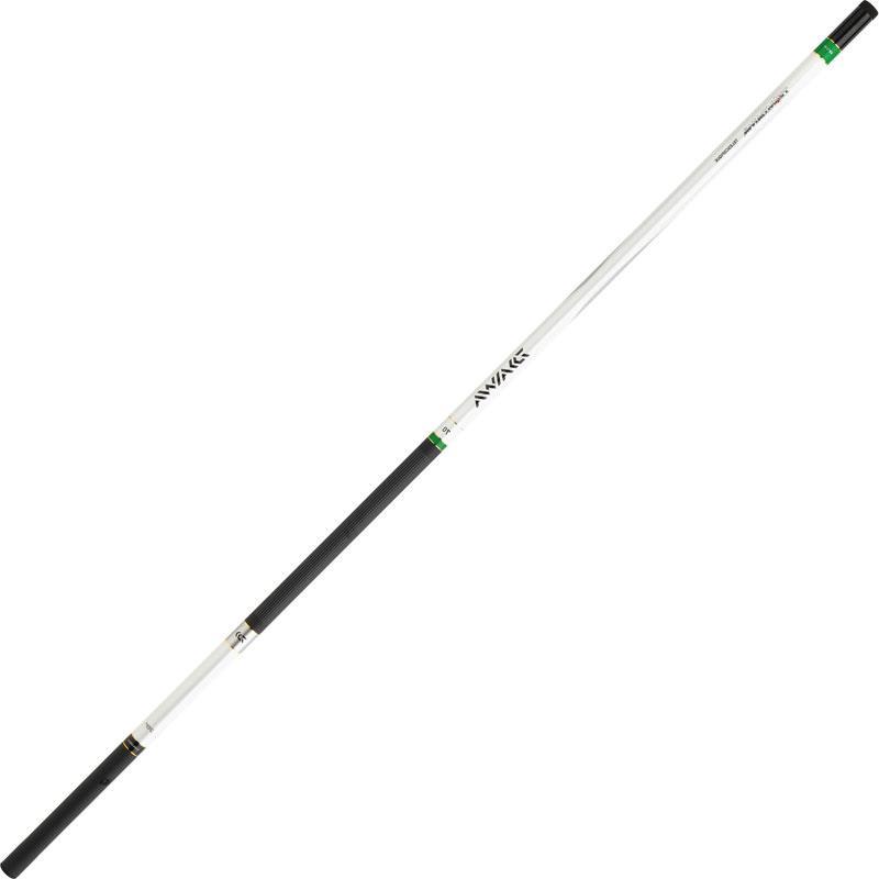 Canne Coup Telescopique Daiwa Team Daiwa
