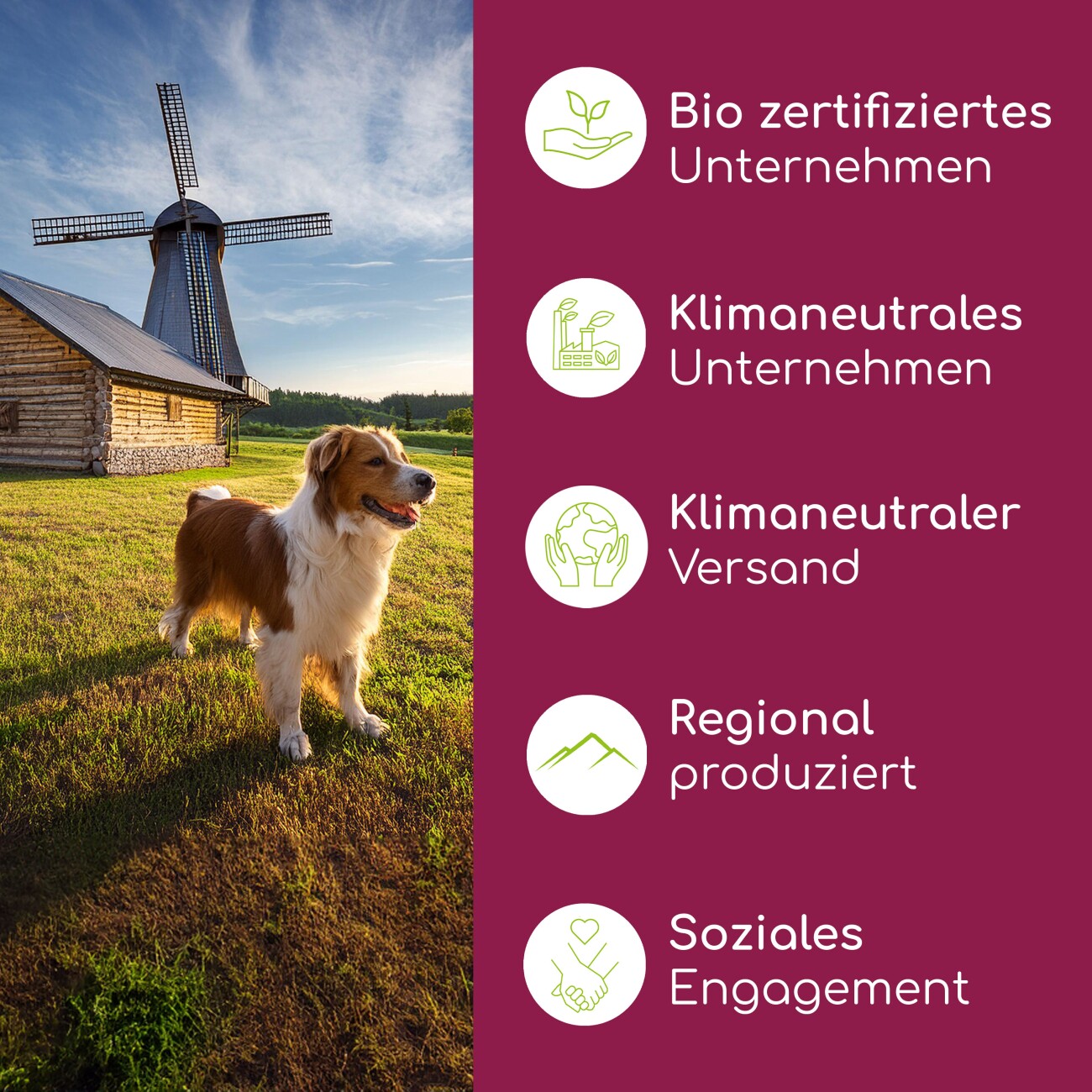 Wolfsbacher Natur Probiotika für Hunde