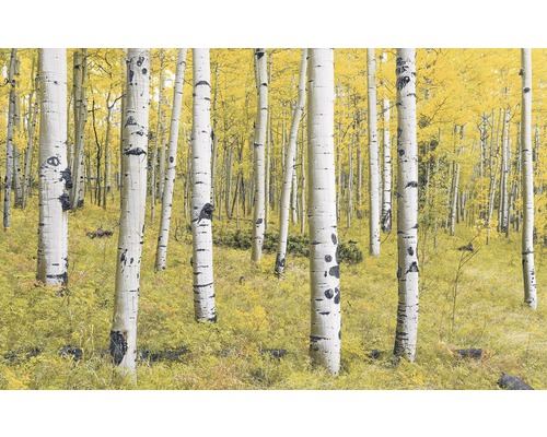 Vliesbehang SH069-VD4 Stefan Hefele Ed 1 Orange Forest 4-delige set 400 x 250 cm