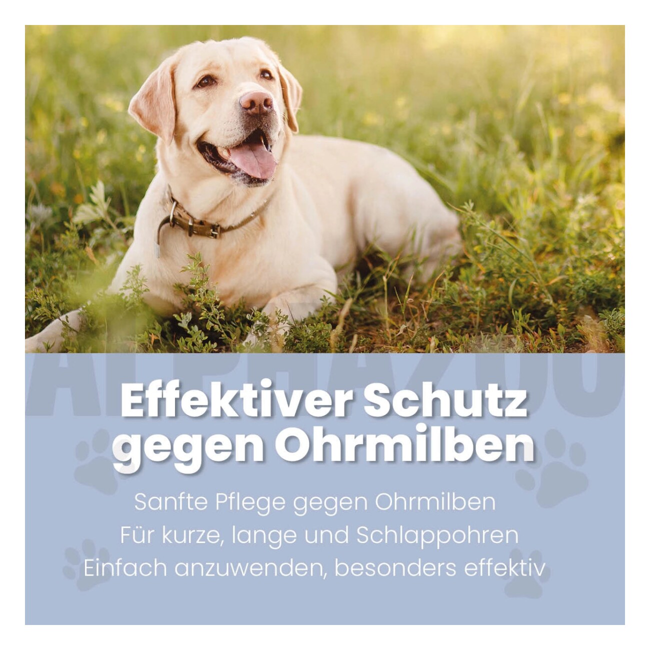 ALPHAZOO Anti Ohrmilbenöl 100ml I Hunde I Effektiv gegen Ohrmilben I Milben im Ohr