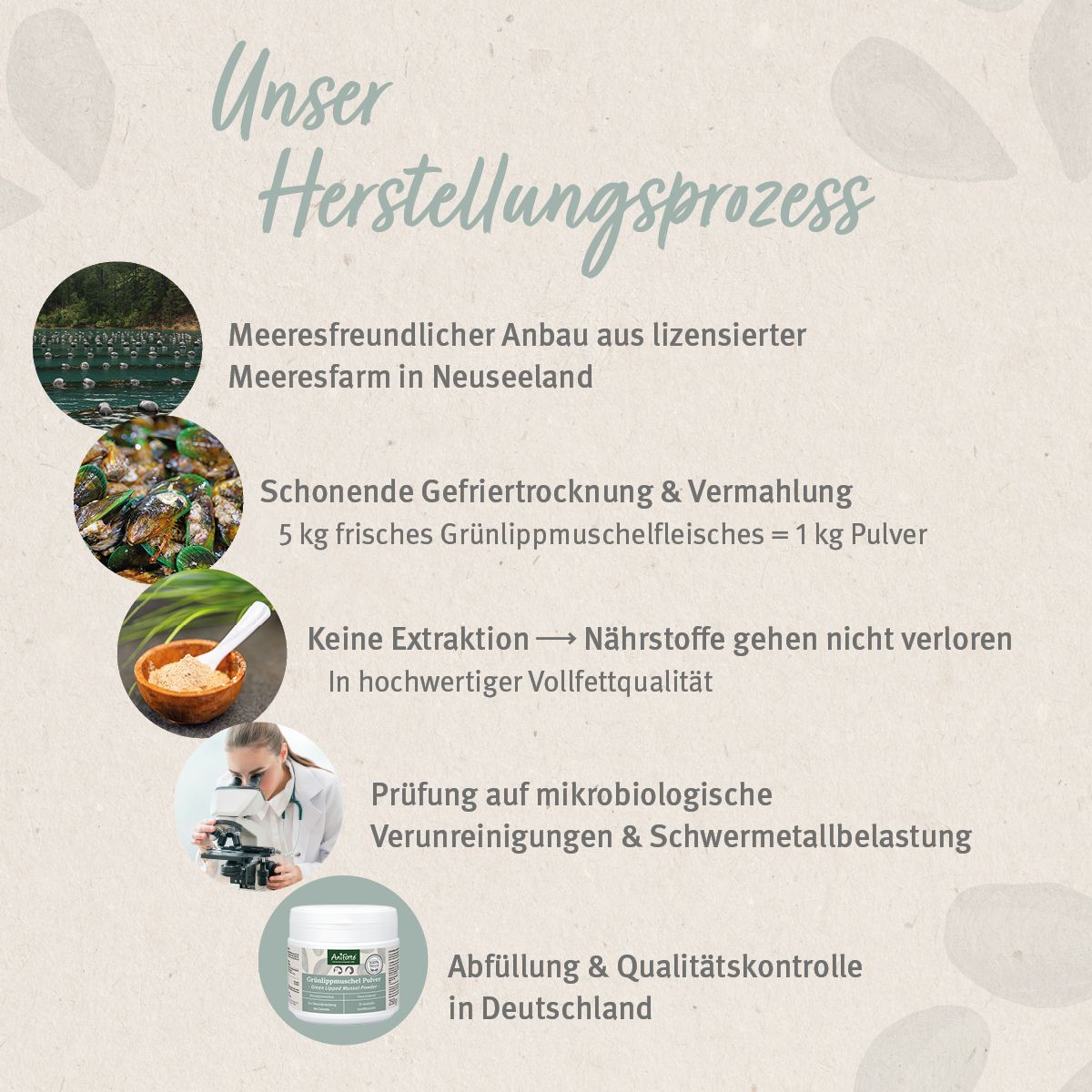 AniForte® Grünlippmuschel Pulver