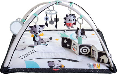 Tiny Love Gymini Magical Tales Babygym, Multi