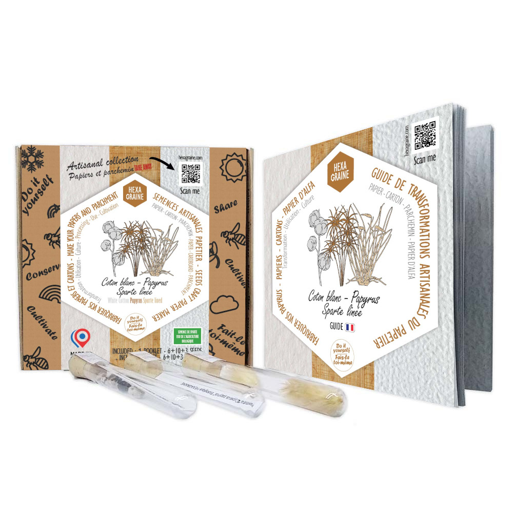 Coffret de semences papetier papiers carton parchemin