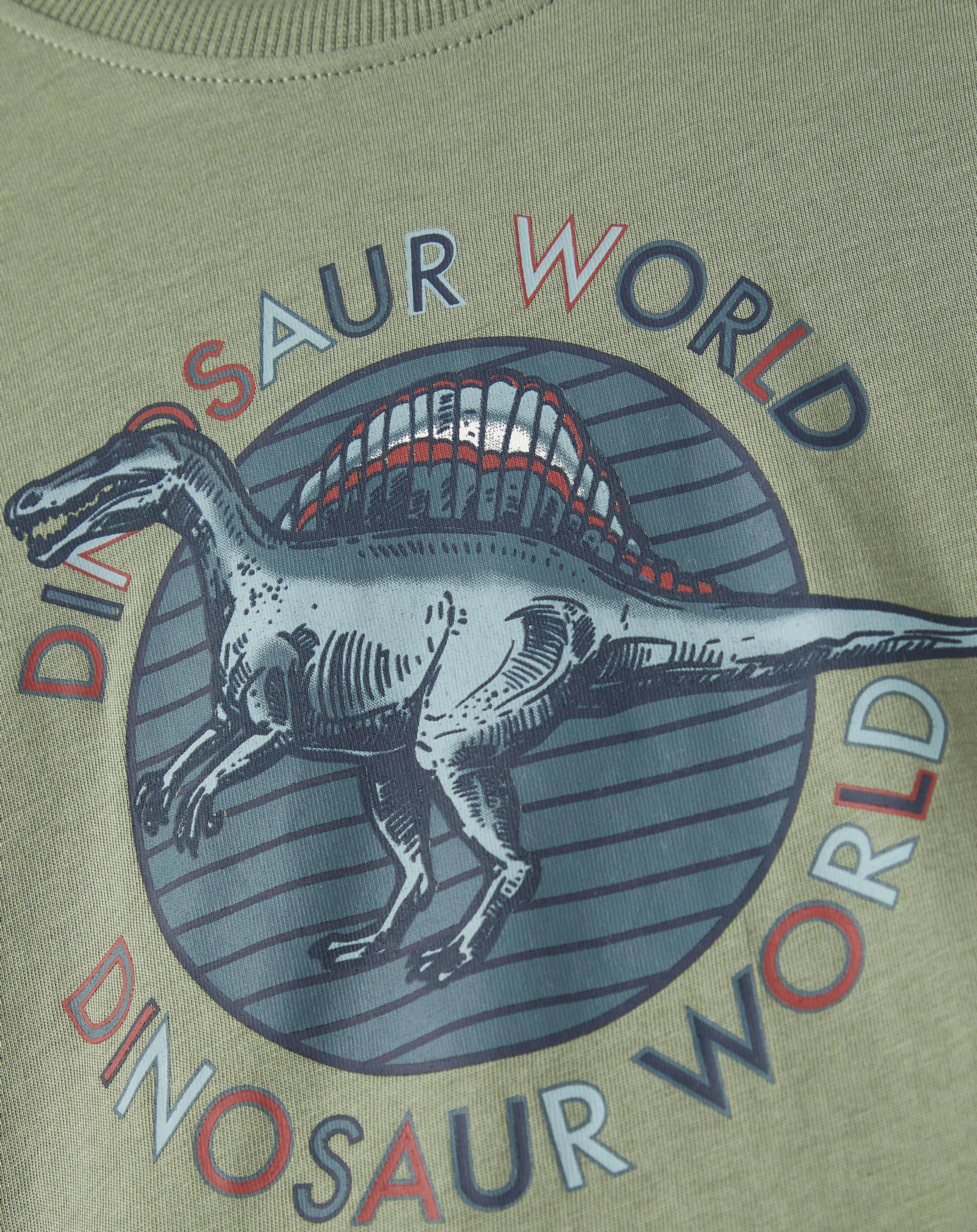 Langarmshirt NMMRARO TREX in agave green
