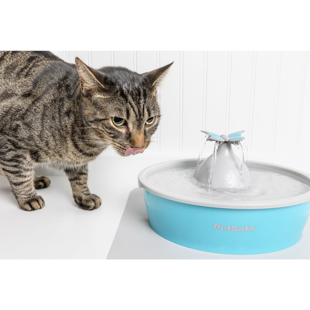 Fontaine pour animaux de compagnie drinkwell papillon 1,5 l