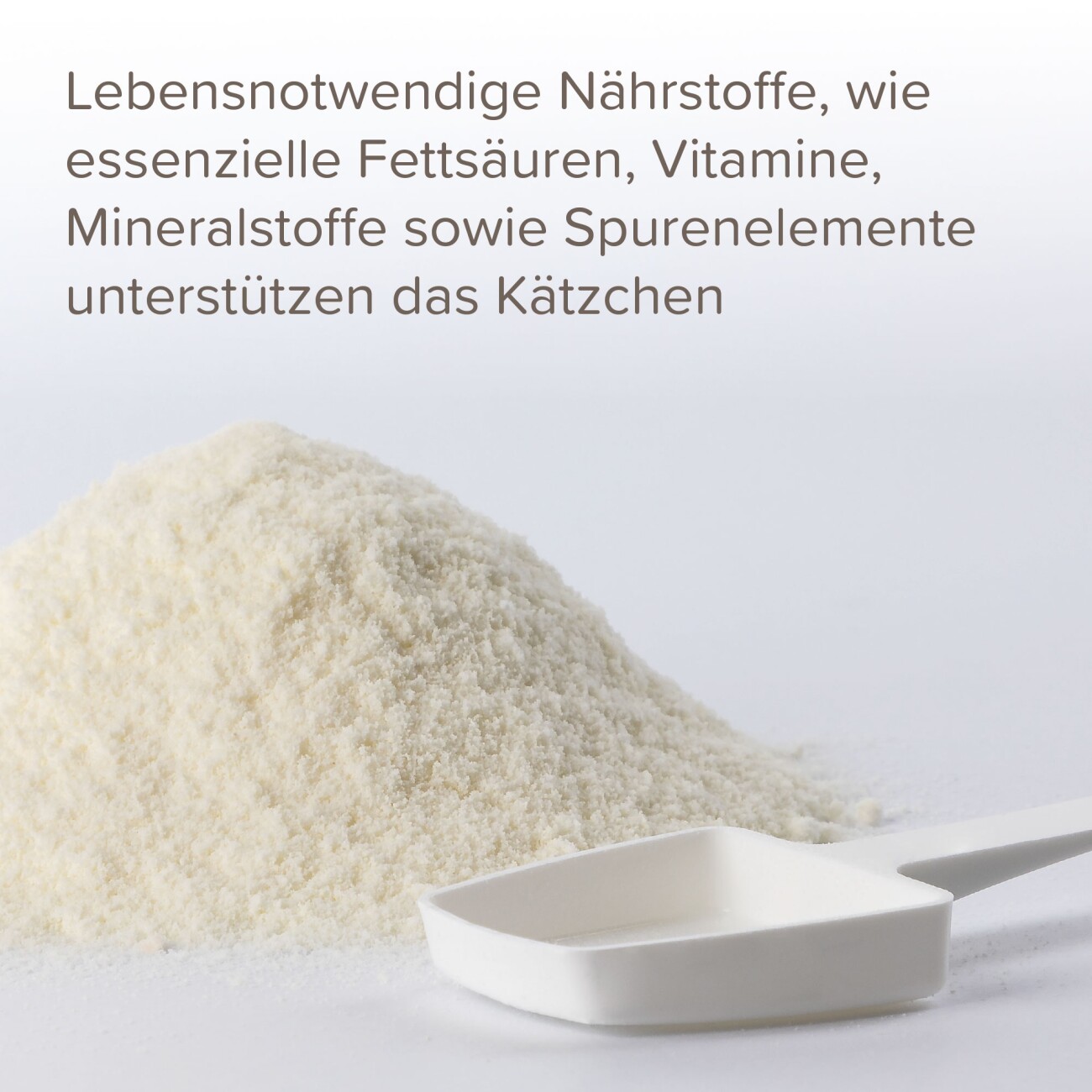 Beaphar Lactol Aufzucht-Milch 500 g