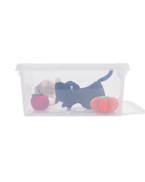 boîte de rangement 32L London transparent 50x39x26