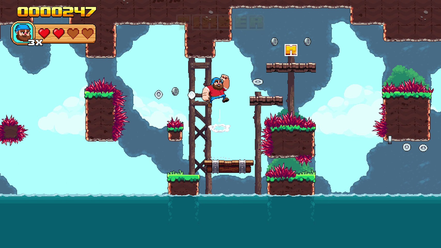 Timberman: The Big Adventure- PC