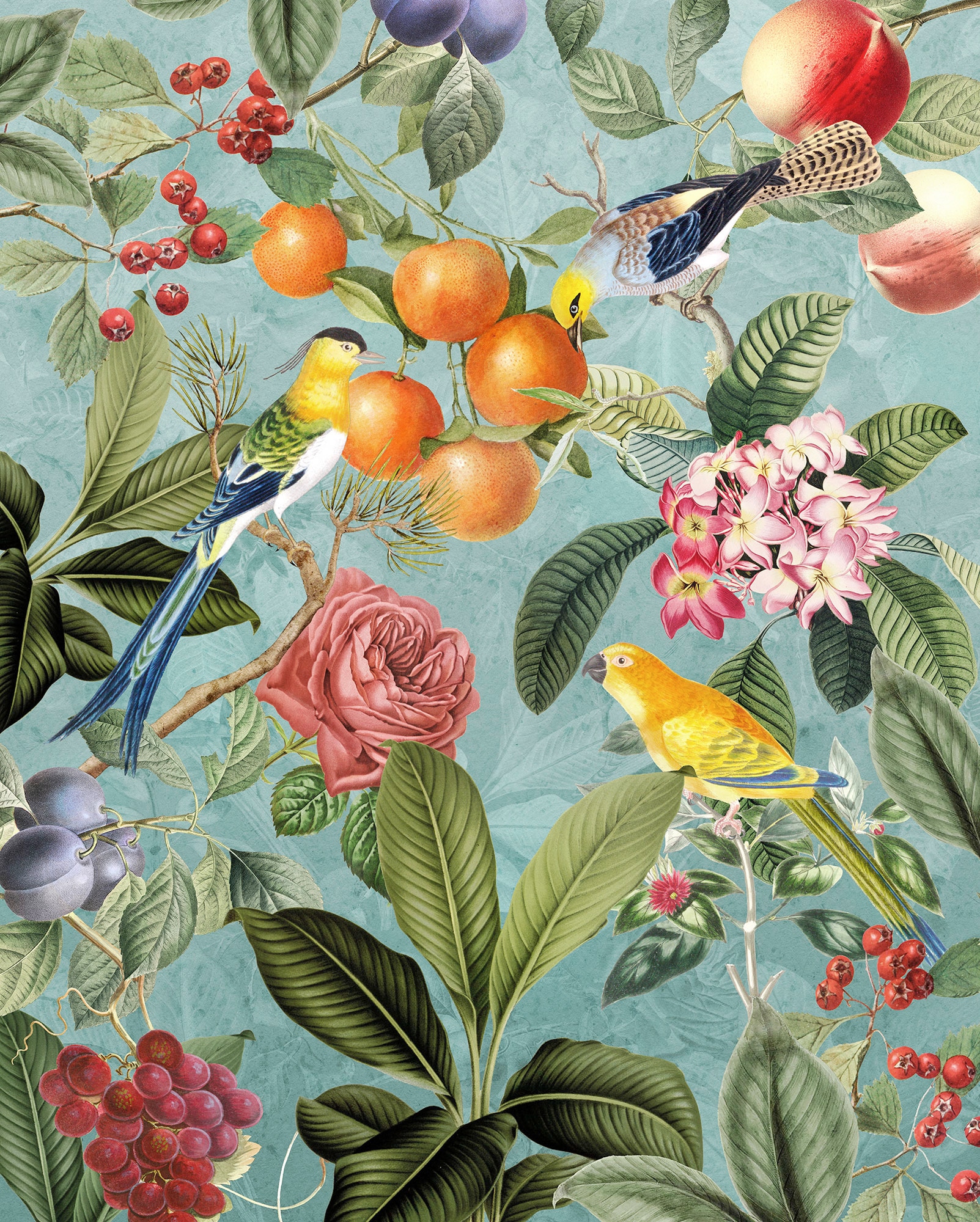 Komar Vliestapete »Digitaldruck Vlies -  Birds and Berries - Grösse 200 x 250 cm« bedruckt glatt Wohnzimmer, Schlafzimmer