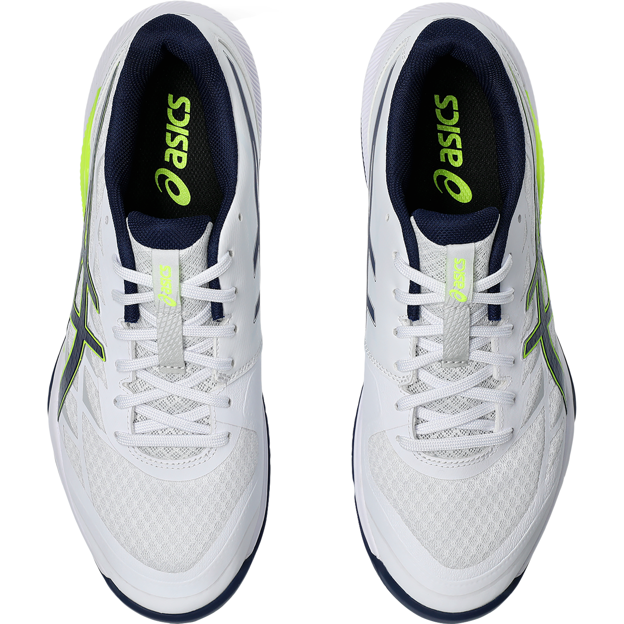 ASICS Gel-Tactic 12 Hallenschuhe Herren white