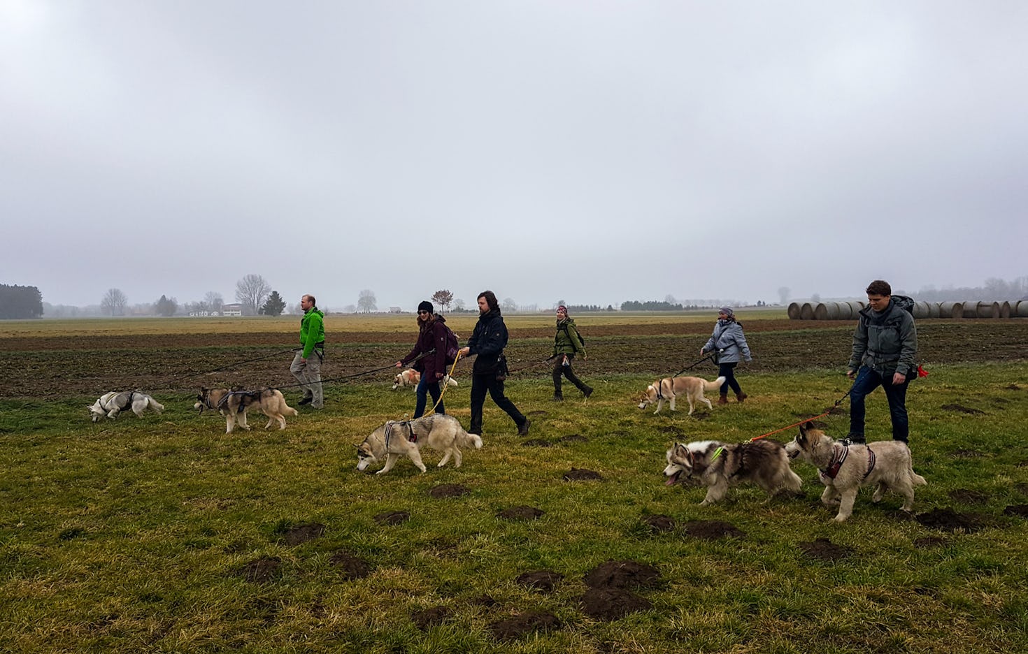 Husky Wanderung Wiedergeltingen
