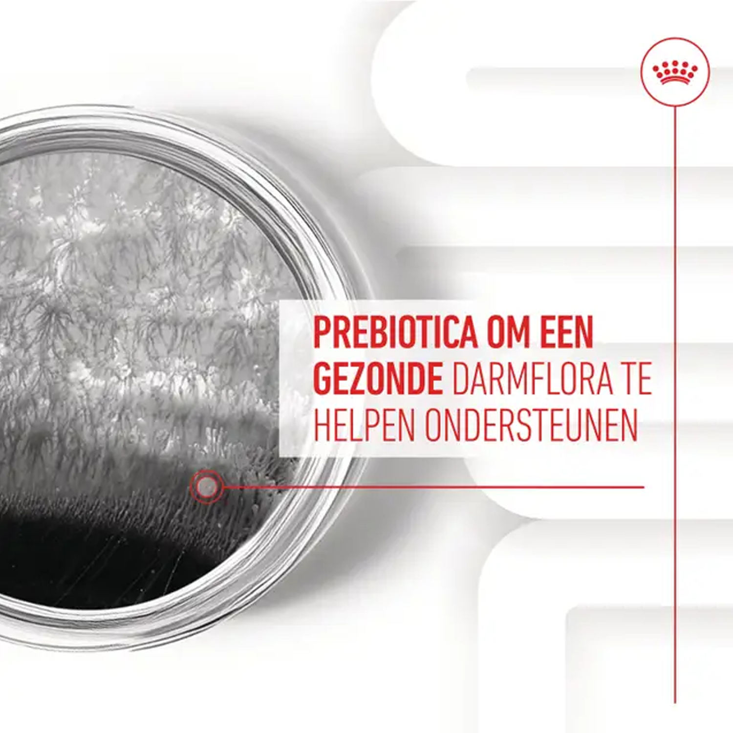 Royal Canin Digestion Supplements Chews Hond