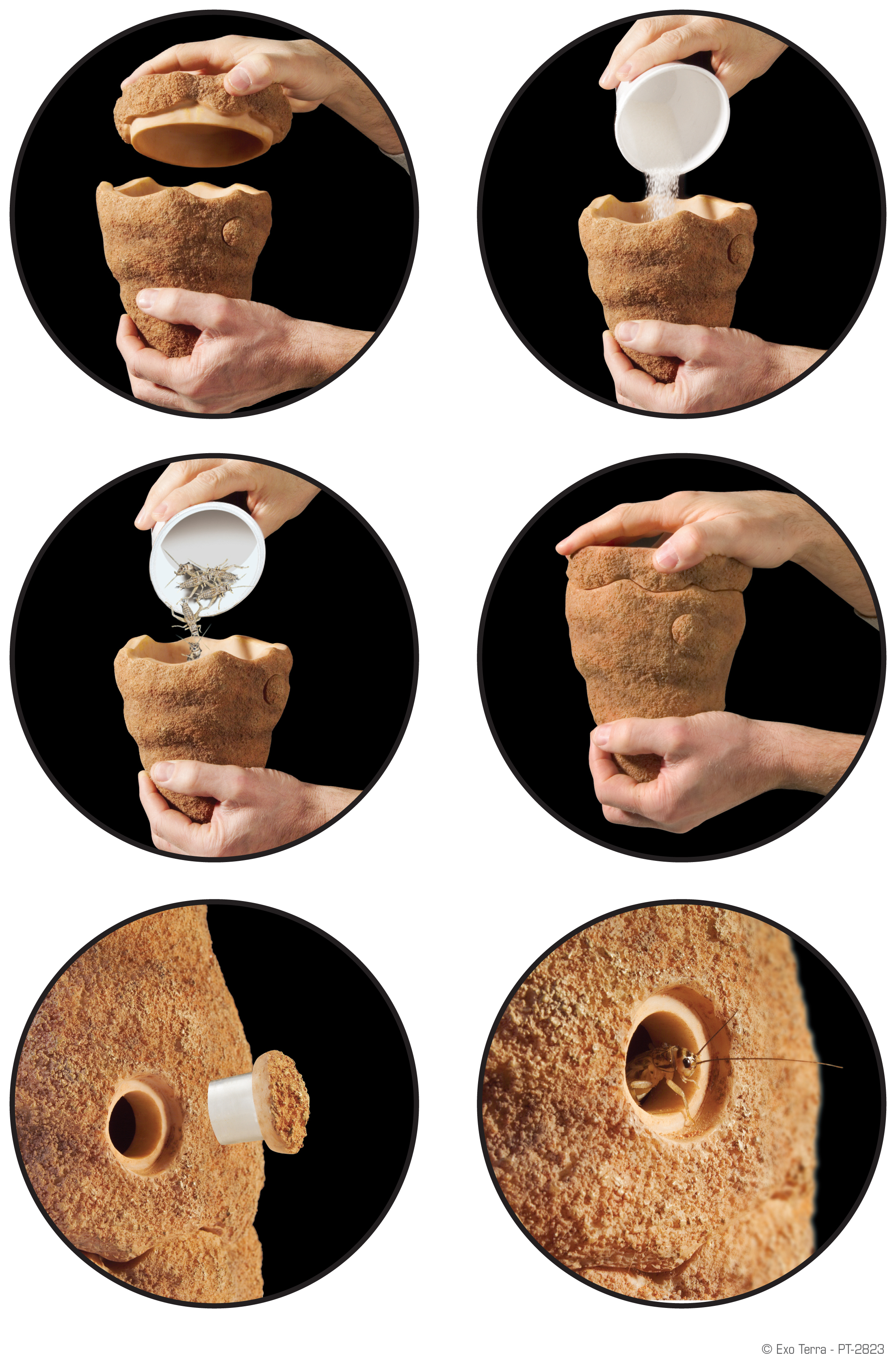 Dispensador de alimento para cupins Exo Terra