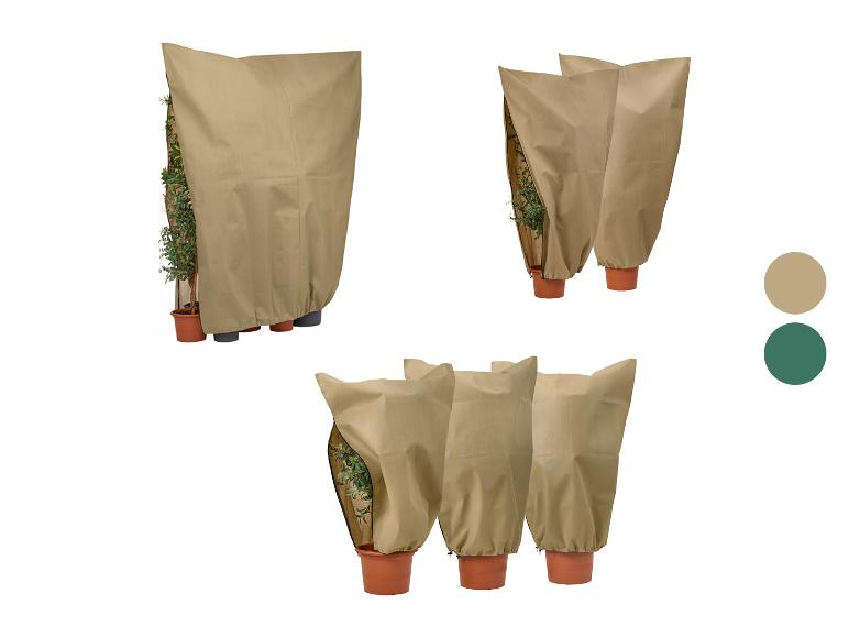 Plantenhoes tegen vorst