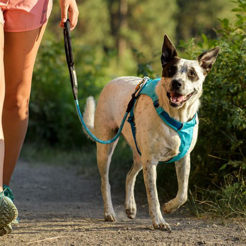 Ruffwear Hi & Light Harness