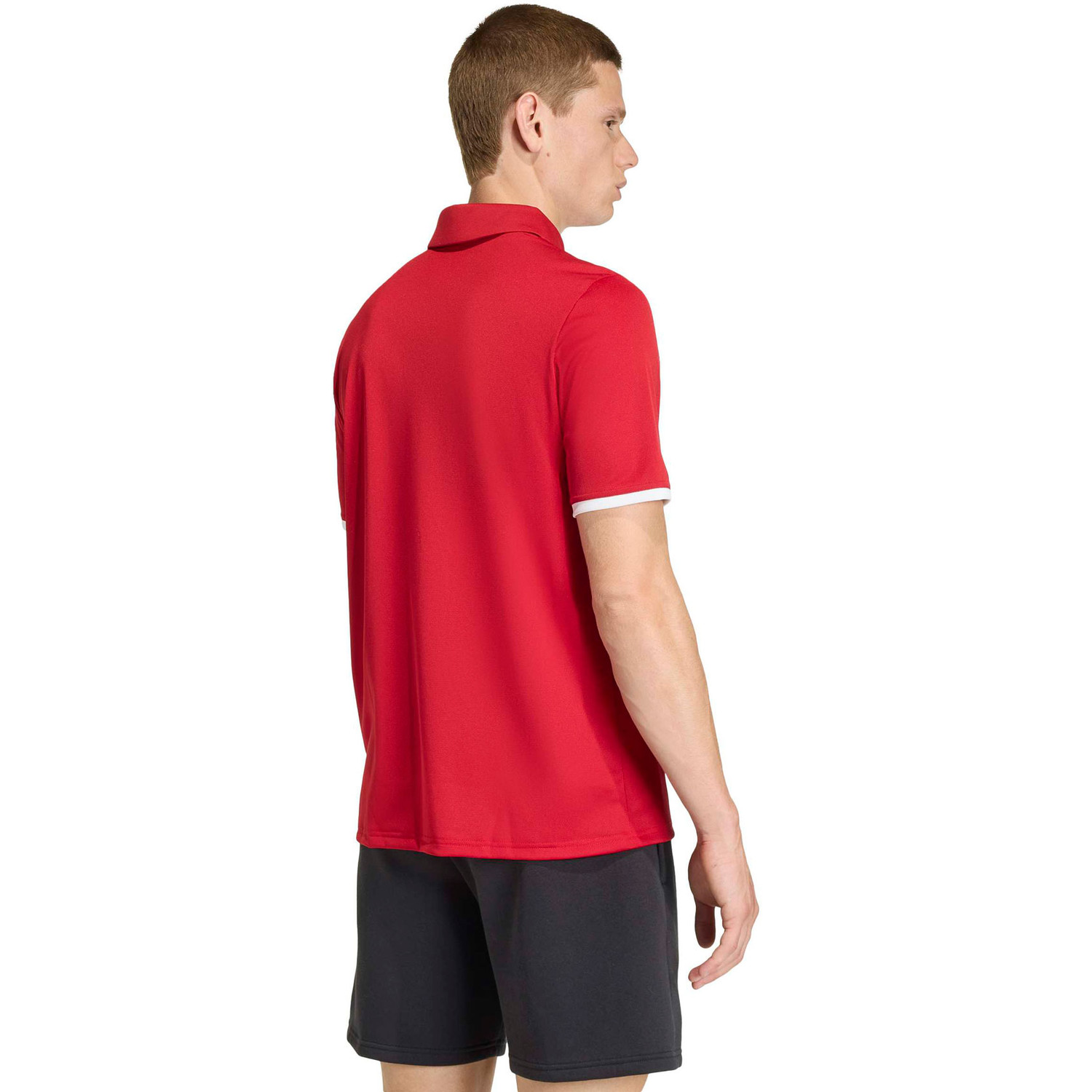adidas Entrada 26 Polo