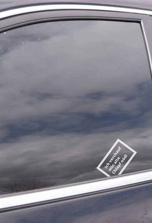 (95x65mm) Lustiger Auto Sticker Wasserfester Deko Aufkleber Meme Abziehbild (113.00) - Alte Chlapf