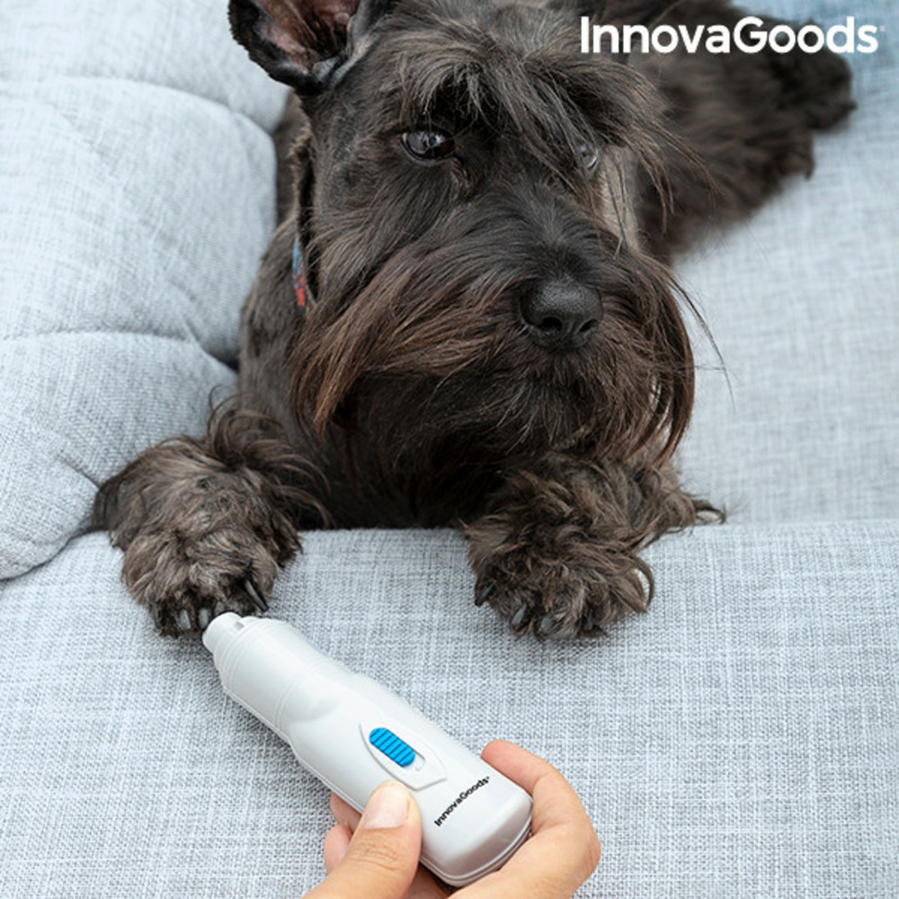 Lime à griffes électrique pour animaux de compagnie pedipet