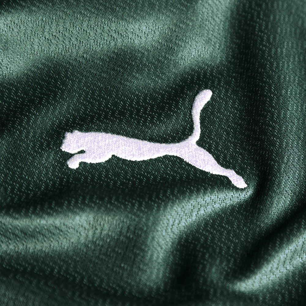Palmeiras Thuisshirt 2023   Bedrukking Endrick - Voetbalshirt Brazilië