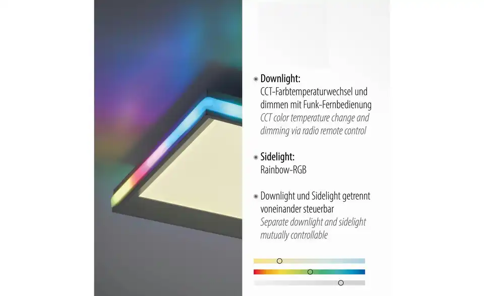 Paul Neuhaus LED Deckenleuchte