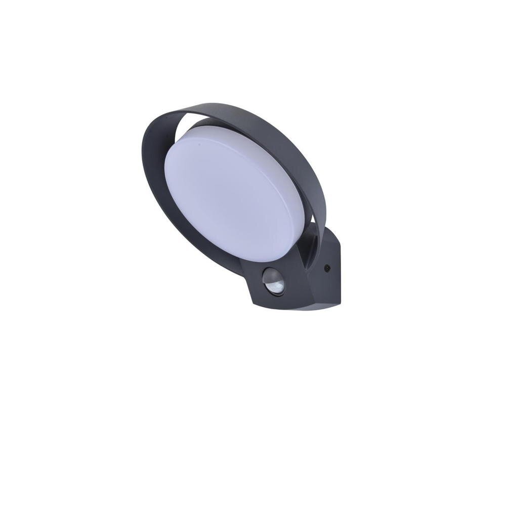 LED wandlamp Polo in antraciet 14W 1000lm IP54 met bewegingsmelder