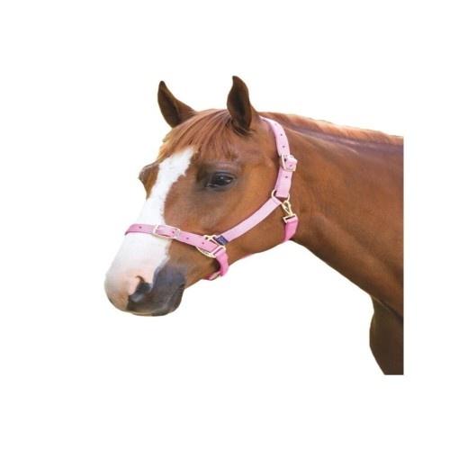 Cabresto de nylon para cavalos Shires