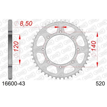 Kit chaine AFAM 520 Type Acier