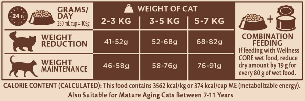 Wellness Core Sterilised Ocean Adult - Kattenvoer - 4 Kilogram - zalm