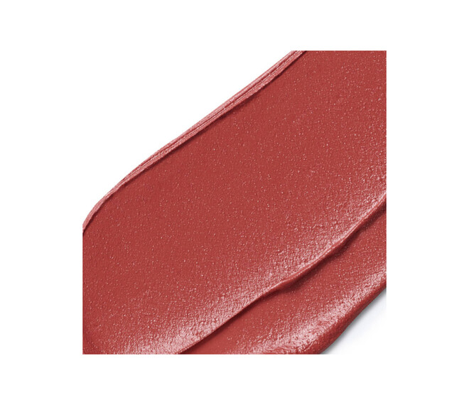 Estée Lauder Pure Color Explicit Silk Matte Lippenstift110 Wrong Place Right Time