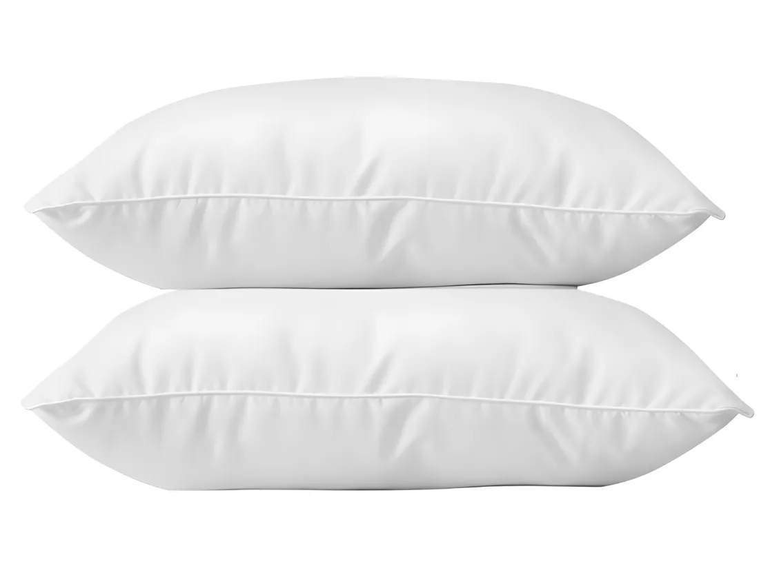 Lot De 2 Oreillers Anti-acariens 60 X 60 Cm Phytopure 