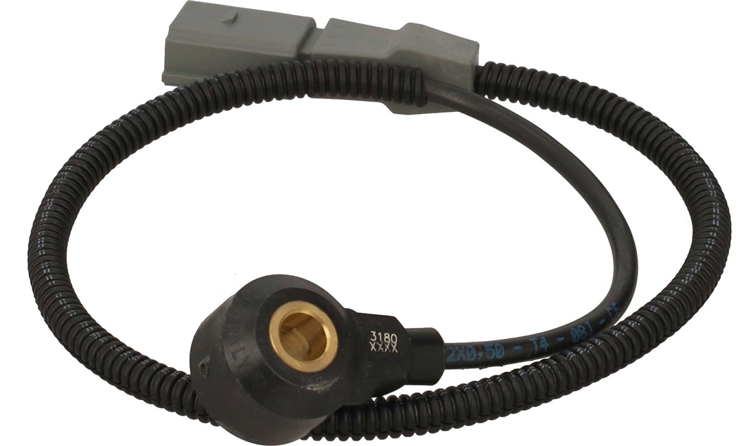Bankesensor