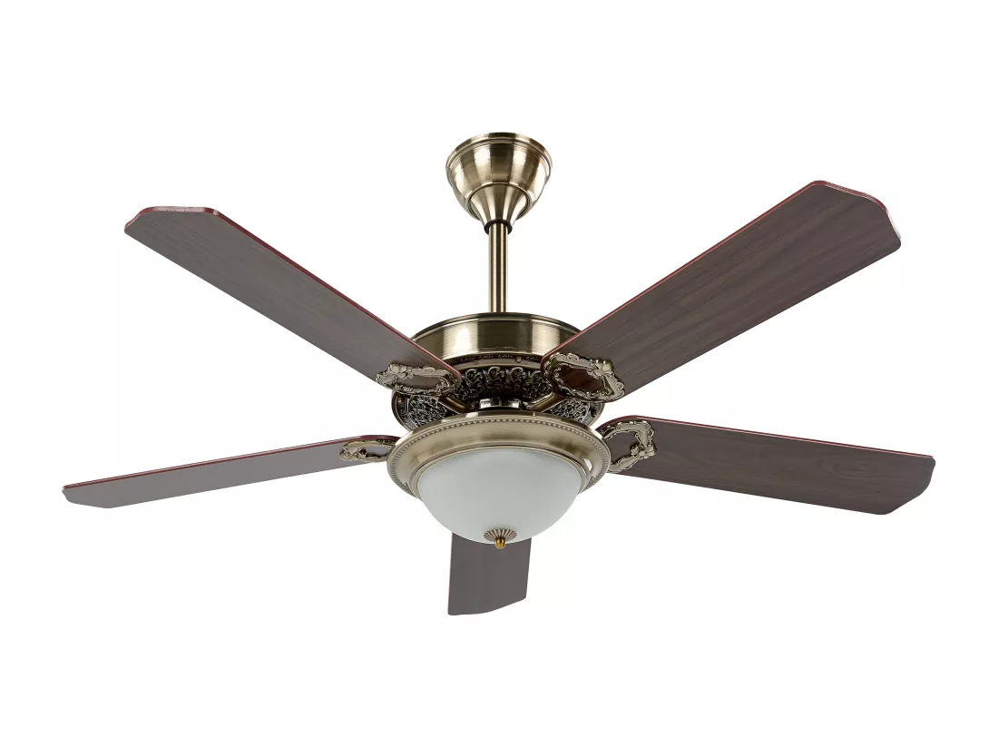 Ventilateur de plafond avec lampe BEGEJ Avec télécommande Marron foncé
