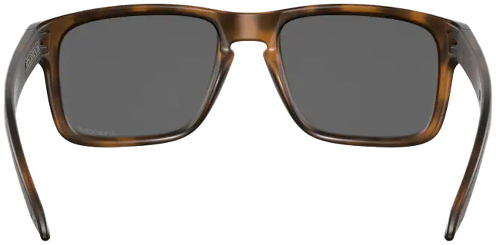 Oakley Holbrook