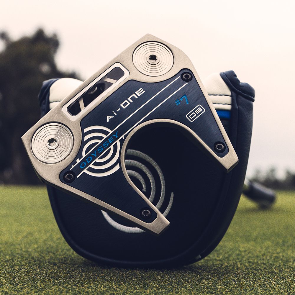 Ai-ONE #7 DB Silver Putter