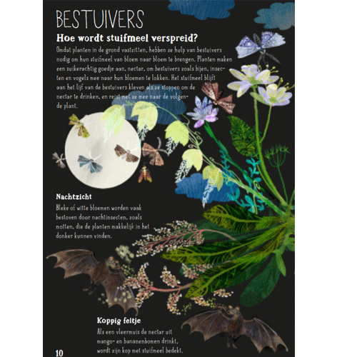 Uitgeverij lemniscaat het briljante bloemen boek
