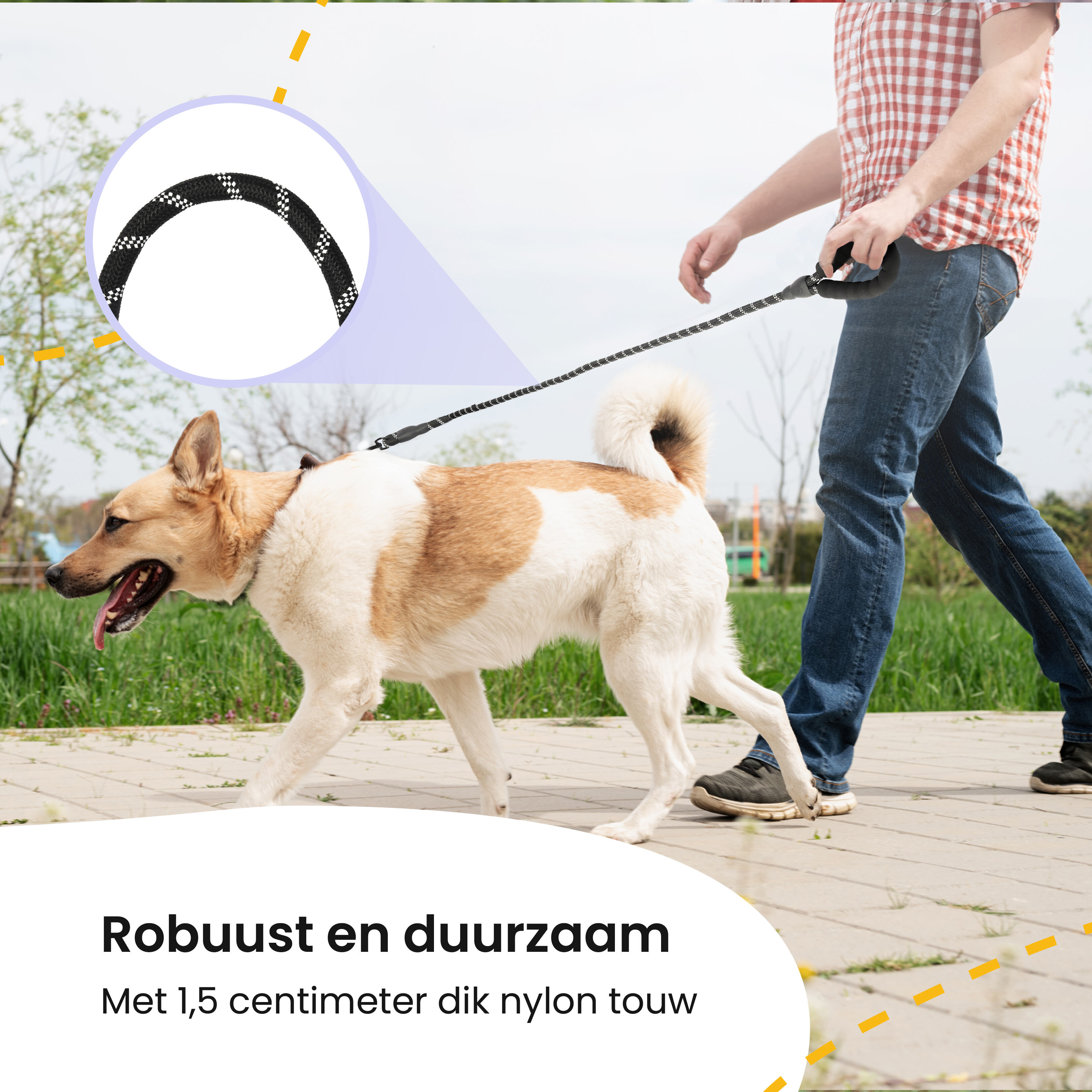 All 4 Pets Supply reflecterende hondenriem - 3 Meter